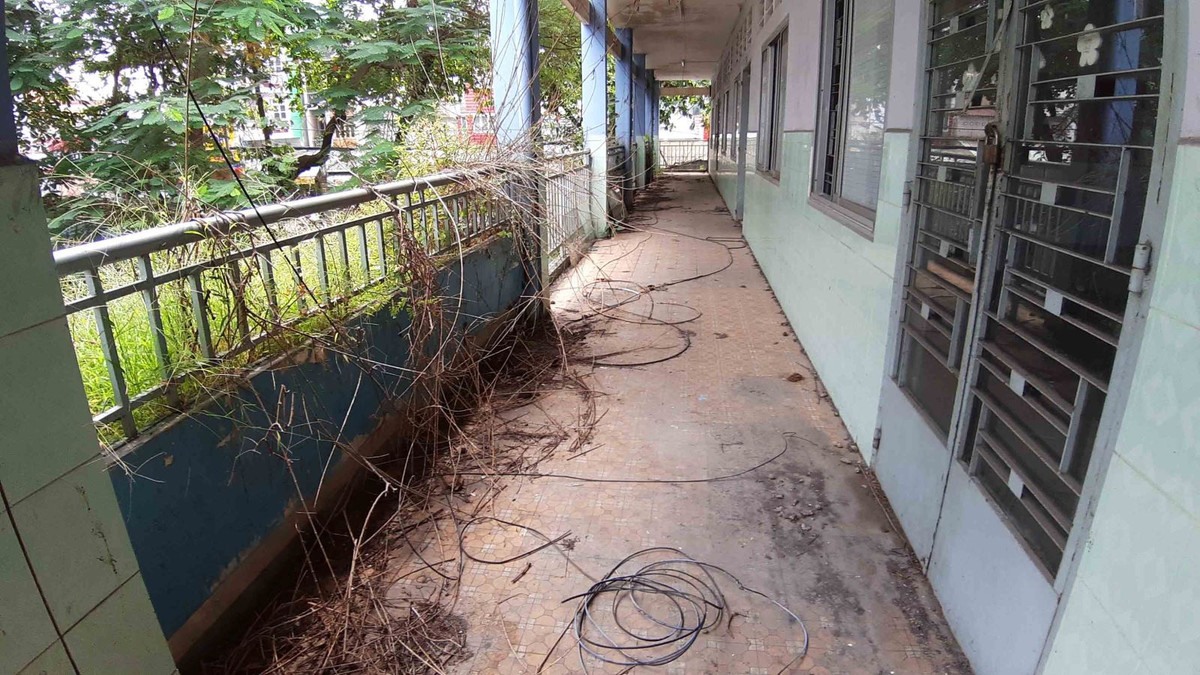 La lung truong tieu hoc giua pho bo hoang 3 nam, co moc um tum-Hinh-12