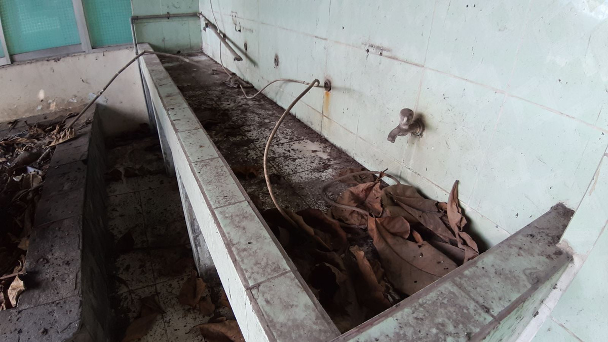 La lung truong tieu hoc giua pho bo hoang 3 nam, co moc um tum-Hinh-7