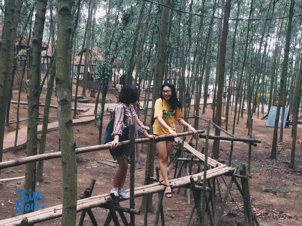 Cũng theo những bài chia sẻ của cư dân mạng, các bạn khi tới Bản Rõm có thể tự mang lều/chiếu đến cắm trại hoặc thuê đồ dựng trại tại đây. Chủ của khu du lịch sinh thái có đầy đủ cả bếp nướng, quạt cây, ổ điện để cho những du khách khi tới thuê.