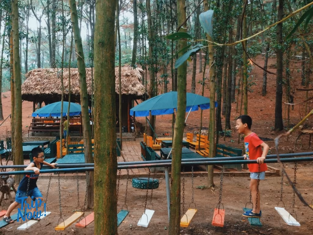 Hơn thế nữa, với cuộc sống hiện đại ở thành thị, nhiều bạn, đặc biệt là các bé không có cơ hội tiếp xúc với cuộc sống nông thôn không biết những dụng cụ, vật nuôi, ruộng bùn ra sao thì dạo một vòng Bản Rõm sẽ giúp bạn vỡ ra được nhiều điều với các khu vui chơi, khám phá được phân bố hợp lý.