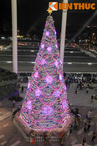 Một cây thông lớn phía ngoài sảnh chính cũng là địa điểm chụp ảnh của rất nhiều bạn trẻ.