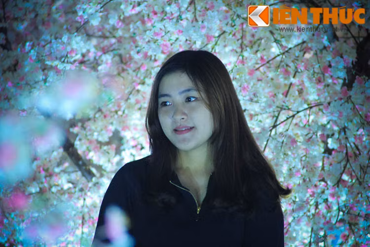 Hoa anh đào là điểm nhấn chủ đạo.