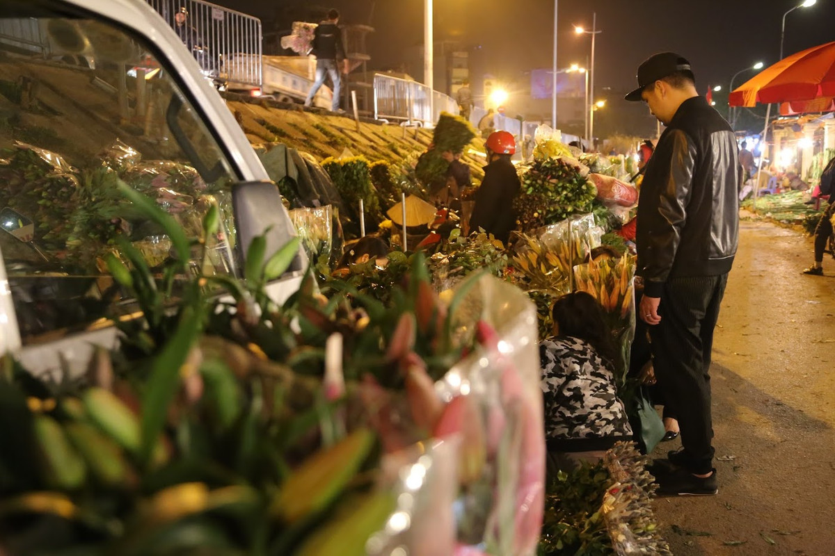 Ngoài ra, do thời tiết Hà Nội đang ngày càng lạnh nên các chủ sạp hoa không quá lo việc hoa nở sớm trước ngày 20/10. Vì thế, giá hoa được dự đoán không bị "thổi cao".