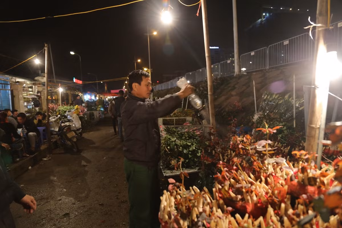 Ở chợ đầu mối, ngoài hoa Việt thì còn có cả các loại hoa nhập ngoại. Trong đó, hoa hồng nhập từ Côn Minh, Trung Quốc khá phổ biến, giá đắt hơn hoa hồng Việt Nam vì màu sắc và kích thước to, đẹp hơn. Giá cho 20 bông hoa đã lên tới 140.000 đồng.