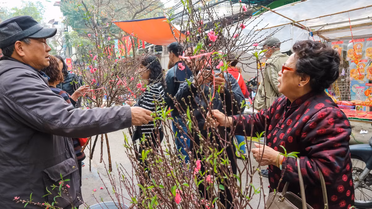 Những cành đào Nhật Tân được những chủ cửa hàng chào mời người mua rất nhiệt tình trước giờ giao thừa. Dù giá cả có đắt hơn nhưng sự gấp gáp chuẩn bị cho giao thừa và những ngày Tết khiến nhiều người không còn quá gắt gao trong việc mặc cả.