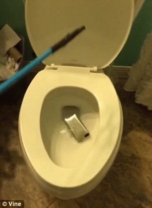 Thật không may, chiếc điện thoại đã rơi xuống nước. (Nguồn: Dailymail).