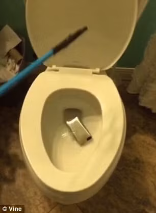 Thật không may, chiếc điện thoại đã rơi xuống nước. (Nguồn: Dailymail).