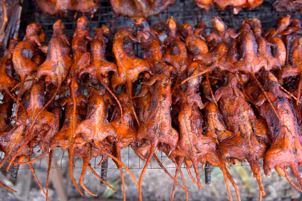 Loai gam nham nghe ten da noi da ga tro thanh mon an vat “lai khung”