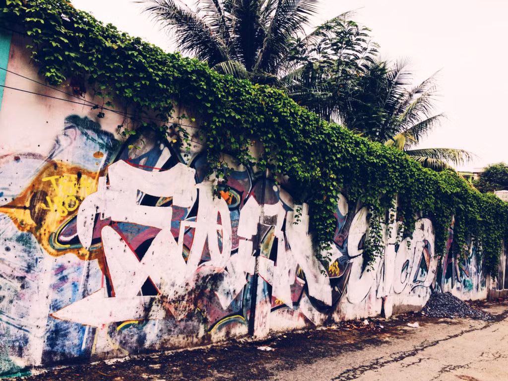 Đây là con hẻm khá vắng với điểm thu hút là màu xanh của những bức tường vẽ và cây cối xung quanh. Một con hẻm dài với những nét vẽ xanh tươi không chỉ là nơi bạn dừng chân nghỉ mát mà còn là điểm chụp hình lý tưởng.