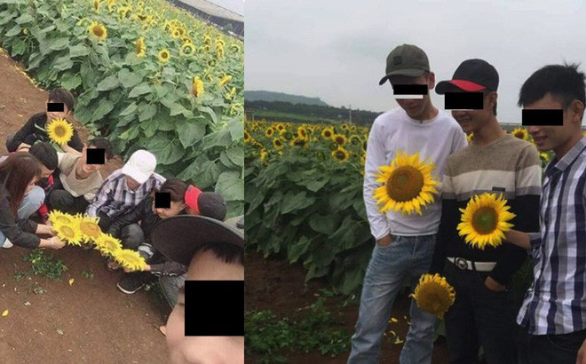 Nhom “nam thanh, nu tu” be hoa huong duong khien dan mang phan no