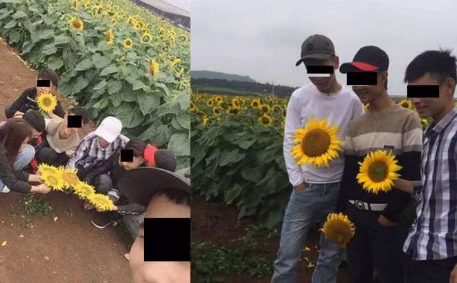 Nhom “nam thanh, nu tu” be hoa huong duong khien dan mang phan no