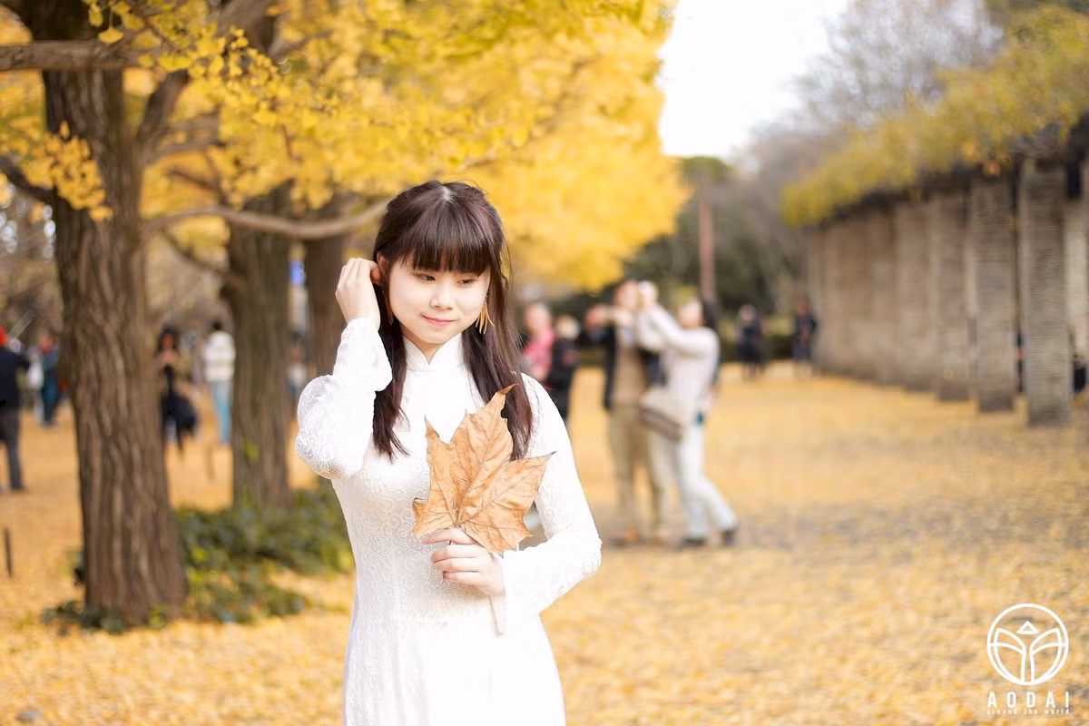 Áo dài dịu dàng, e ấp dưới hàng cây ngân hạnh của Tokyo, Nhật Bản.