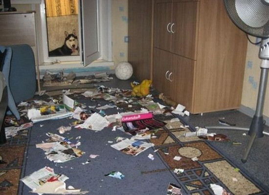 Hiện bài viết đang nhận được nhiều phản hồi của cư dân mạng. Sau 1 tiếng đăng tải, bài viết nhận được gần chục nghìn lượt thích và hàng nghìn bình luận.