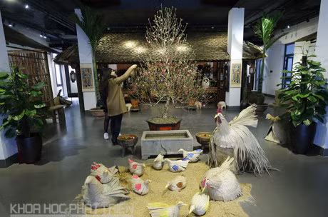 Không gian trước ngôi nhà Tết xưa tại trung tâm bảo tồn di tích phố cổ Hà Nội. Ảnh: Khoa học phát triển