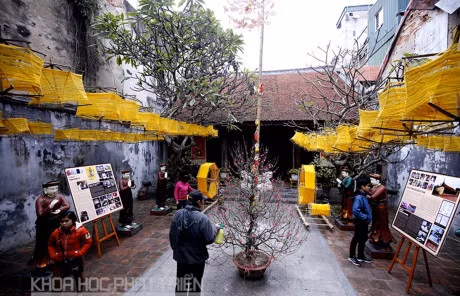 Những sản vật và tư liệu về các làng nghề của Hà Nội xưa cũng được quy tụ về không gian văn hóa di sản phố cổ để phục vụ khách tham quan. Ảnh: Khoa học phát triển