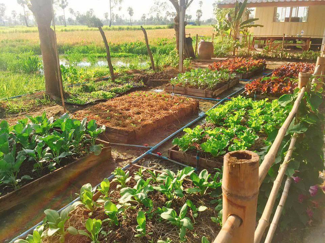 Bên cạnh đó nhiều dân mạng cũng cho rằng cuộc sống của cặp đôi vợ chồng trẻ này quá đỗi thanh bình. Rau sẵn ngoài vườn, thịt cá cũng có quanh nhà chẳng phải quá lo lắng về vấn đề chạy ra chợ còn gì và mua gì.