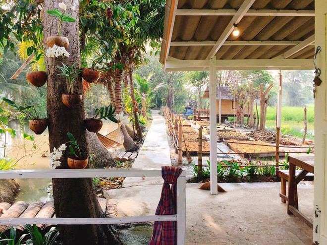 Chiêm ngưỡng cuộc sống của đôi vợ chồng trẻ trên, nhiều dân mạng ao ước rằng: "Đúng là một túp lều tranh, hai trái tim vàng. Sau những ngày vật vã với guồng quay công việc, về được thả hồn trong không gian như trên quả là thoải mái. Đáng mơ thật".