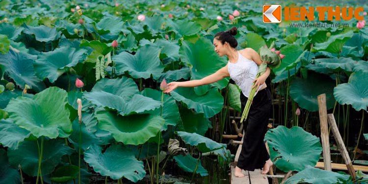 Bên cạnh việc gấp gáp về mặt giờ giấc, Vũ Linh cũng có đôi lúc gặp khó khăn trong công việc. Cô gái này chưa từng tham gia một lớp đào tạo MC nào nên cô gặp rất nhiều khó khăn như cảm giác lo lắng trước khi ra sân khấu, xử lý tình huống bất ngờ. Nhưng với bản tính ham học hỏi, Vũ Linh luôn lắng nghe những kinh nghiệm của đàn anh đi trước truyền lại để vượt qua những khó khăn bên cạnh đó cũng tích lũy những bài học qua từng ngày để vững vàng hơn.