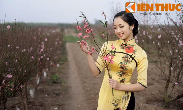 Nhưng đáng nể nhất đó vẫn là bảng thành tích học tập khá “khủng” của Vũ Linh. Trong những năm ngồi trên ghế trường THPT chuyên Phan Bội Châu, cô gái xứ Nghệ này liên tục nằm trong top những học sinh giỏi của trường và bên cạnh đó cô cũng từng đoạt giải học sinh giỏi Quốc gia môn Lịch sử năm lớp 11 và lớp 12.