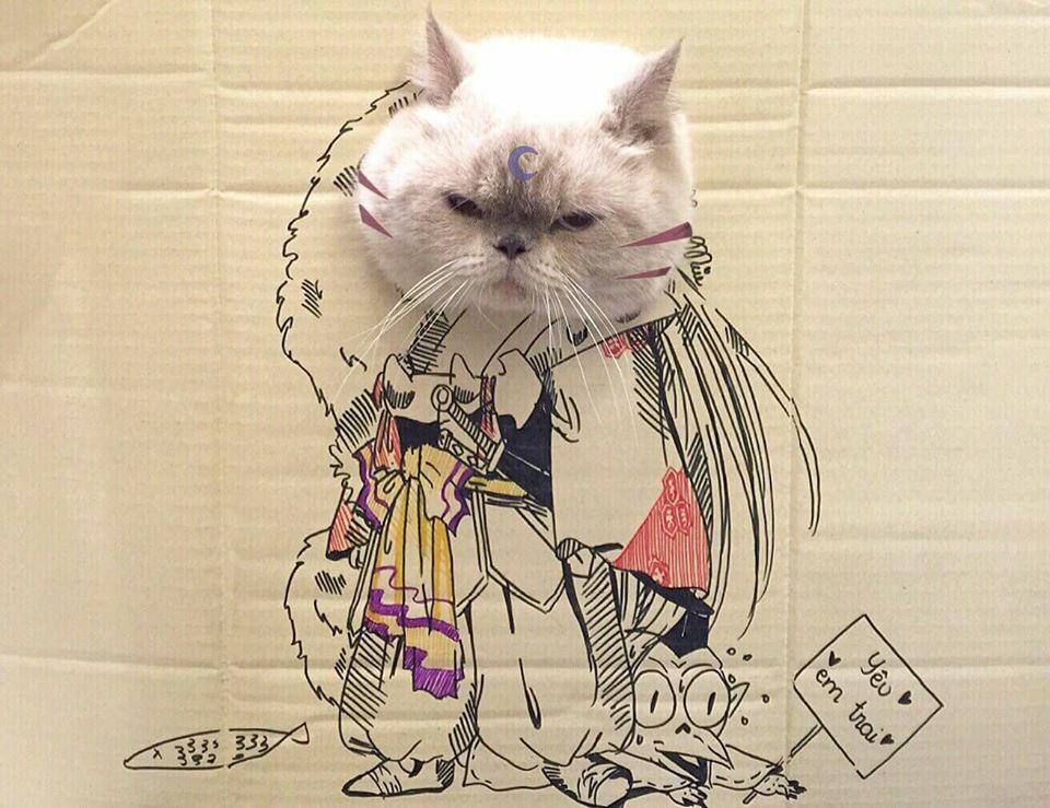 Bên cạnh việc khen các thú cưng đáng yêu, cư dân mạng cũng dành rất nhiều lời khen cho đôi tay tài khoa và bộ óc sáng tạo của cô chủ tên Ngọc Trang.