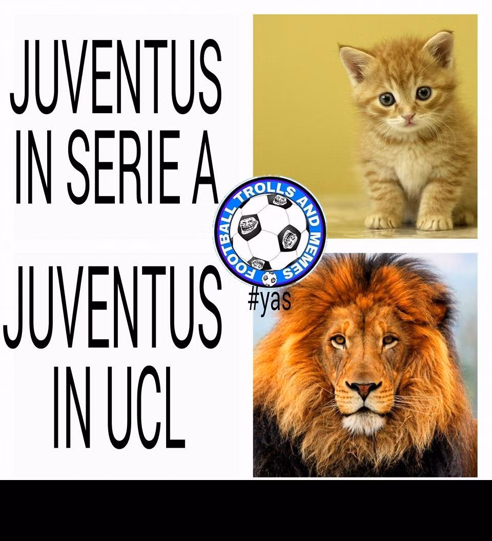 Juventus rơi vào nghịch cảnh với Man City khi họ đang thi đấu bết bát tại Serie A và được ví như chú mèo. Nhưng ra đấu trường châu Âu thì họ lại thể hiện một hình ảnh khác, vô cùng đáng sợ và mạnh mẽ.