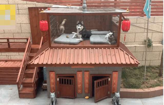 Sen xay nha 2 tang cho boss: Be boi, spa, dieu hoa du ca