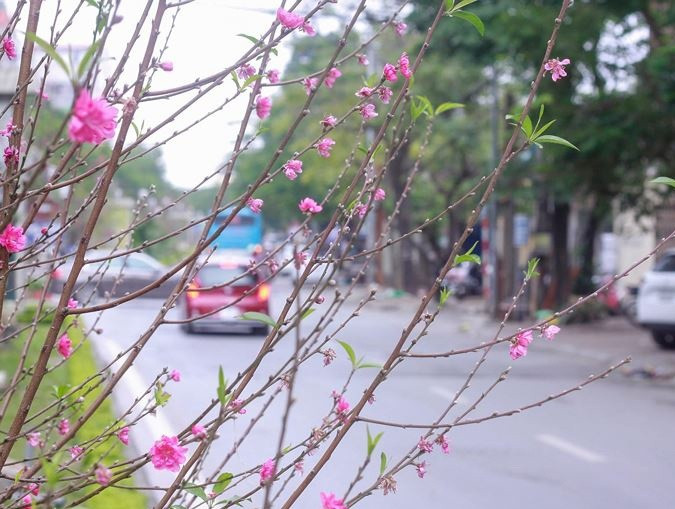 Tuy nhiên nơi này chỉ dành để tham quan, thưởng ngắm chứ không thể dừng lại chụp ảnh vì sẽ ảnh hưởng đến giao thông.