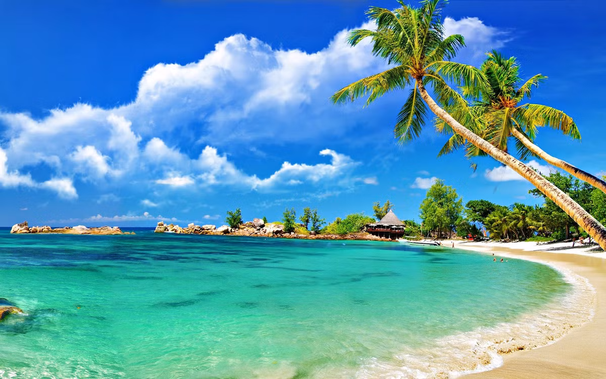 Với những người bị say sóng, bạn cũng có thể chọn những tour khác nhẹ nhàng không kém phần hấp dẫn như lướt ván, nhảy dù, chèo thuyền kayak hay câu cá khám phá đại dương.