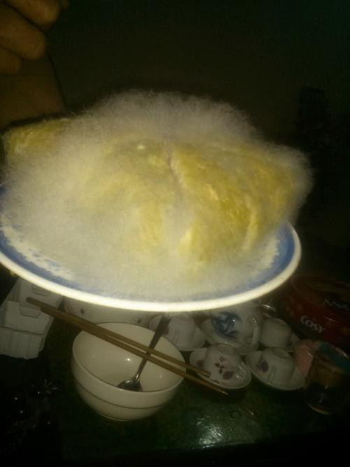 Đối với sinh viên xa nhà thời điểm chuẩn bị về quê ăn Tết có khi kéo dài cả tuần, cả tháng. Họ sắm sửa đồ dùng cá nhân, quần áo, bánh kẹo về Tết gia đình nhưng việc quan trọng nhất họ lại quên đó là dọn phòng trọ.