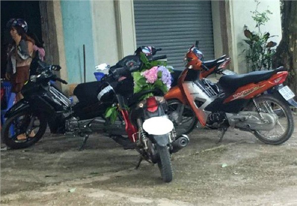 Thế nhưng, sau khi đã tham quan và chụp ảnh trên đỉnh Mẫu Sơn, một nhóm dân phượt đã tiện tay bẻ và cầm xuống núi khoảng 20 cành hoa cẩm tú cầu. Hành động thiếu ý thức của nhóm phượt thủ đã tạo nên làn sóng phẫn nộ trên mạng xã hội.