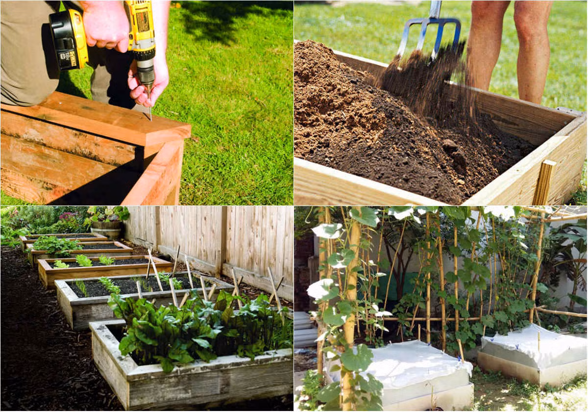 Không chỉ tạo sự gọn gàng, ngăn nắp và quy mô cho những ngôi nhà nhỏ mà việc "đóng giường" trồng rau (bed garden) lại cực tốt trong việc hỗ trợ cây trồng sinh sôi, nảy nở.