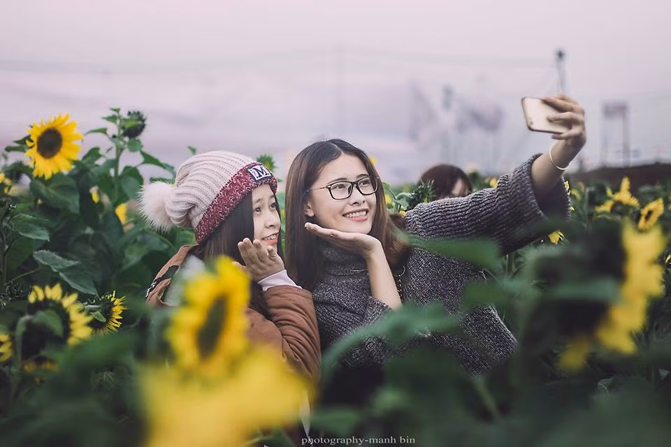 Theo tìm hiểu của nhiều bạn trẻ, so với mọi năm cánh đồng hoa hướng dương năm nay nở muộn thân cây cũng thấp hơn so với mọi năm. Nhưng lại đúng vào đầu dịp năm mới nên vẫn thu hút được khá đông các du khách, đặc biệt là các bạn trẻ tới chụp ảnh. Ảnh: Mạnh Bin
