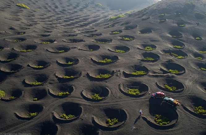 8. Thu hoạch nho trên miệng núi lửa Lanzarote ở Quần đảo Canary.