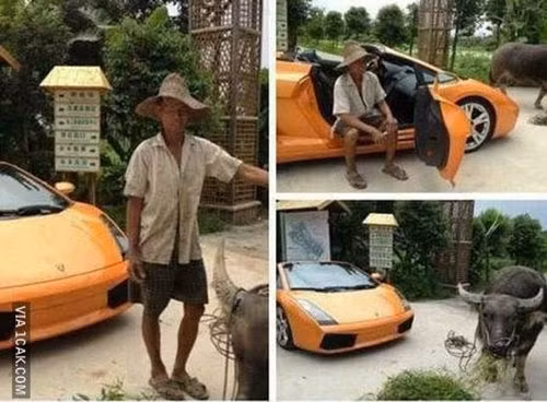 Bac nong dan chan trau so huu sieu xe gay “sot“-Hinh-2