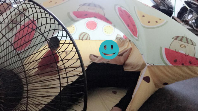 Hình ảnh ghi lại cách chống nóng độc đáo sau khi được chia sẻ lên mạng xã hội đã nhanh chóng gây chú ý và được cư dân mạng vô cùng thích thú.