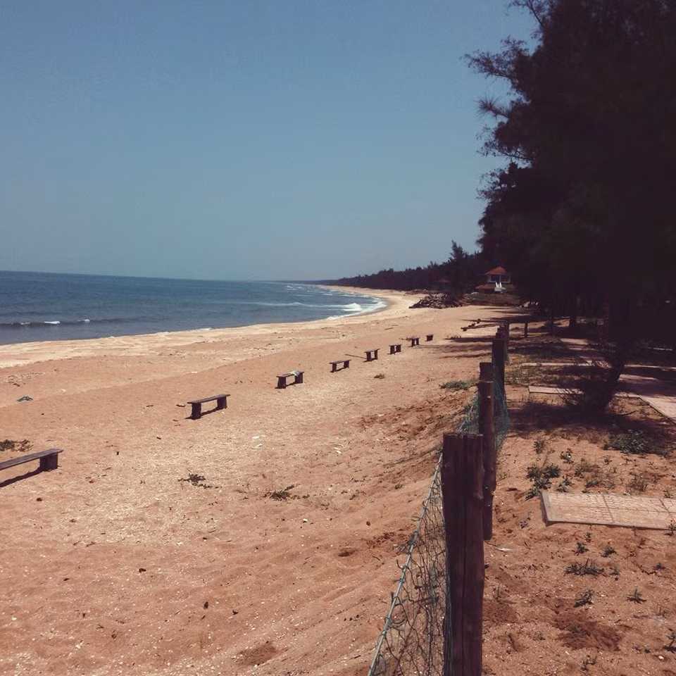 Buổi đêm ở Thạch Hải cực đặc biệt khi xuất hiện những con đom đóm biển, lấp lánh cực đẹp.