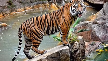 Mot nhan vien so thu bi ho vo chet