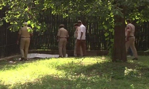 Mot nhan vien so thu bi ho vo chet-Hinh-2