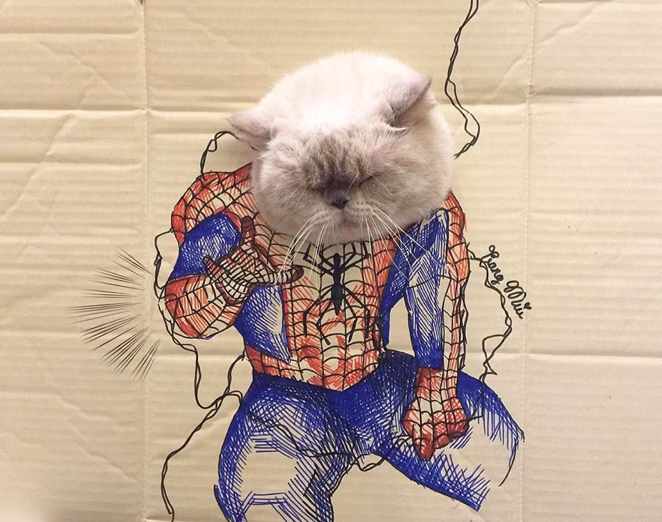 Cụ thể, cô bạn tên Ngọc Trang với tài vẽ tranh của mình đã phác họa lại một số nhân vật khá nổi tiếng trong truyện tranh và phim hoạt hình lên tấm bìa vô cùng đẹp mắt rồi sau đó đục một lỗ ở phần đầu để gắn gắn mặt các vật nuôi đáng yêu của mình vào.