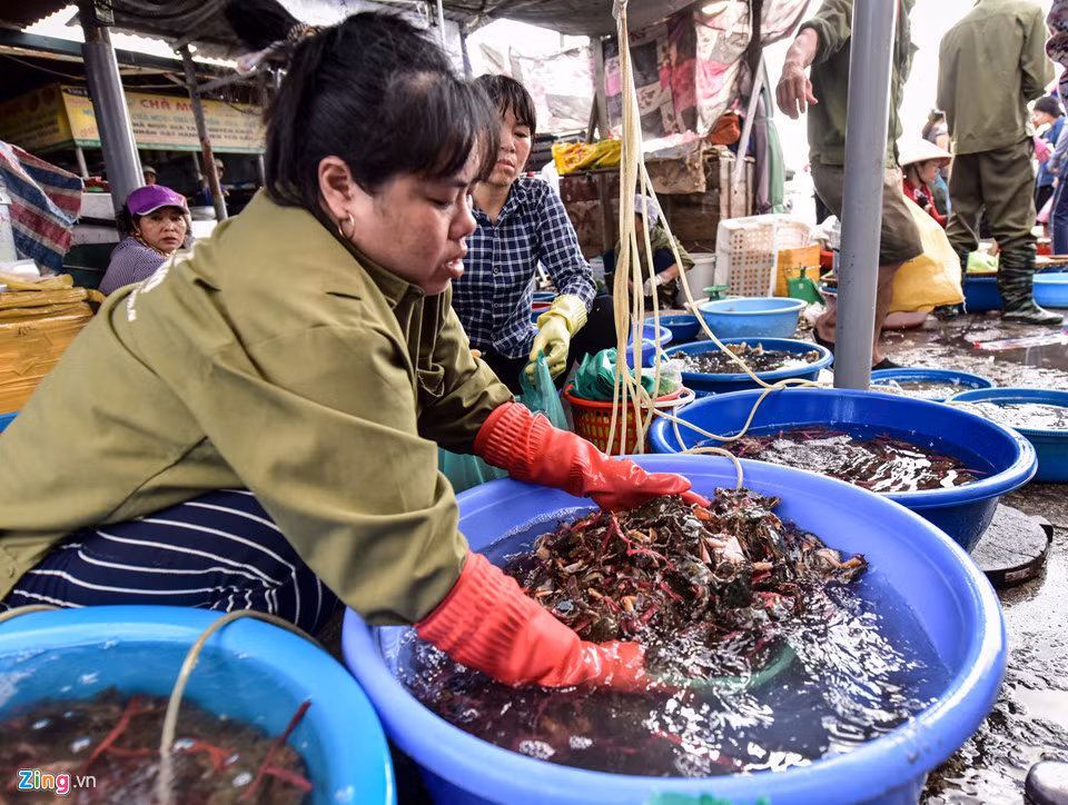 Khách hàng nơi đây chủ yếu là những người bán hàng ở các chợ lẻ, các nhà hàng nên mỗi người có thể mua hàng chục đến hàng trăm kg.