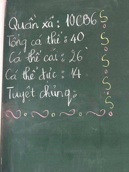 Chắc đây là tác phẩm của một lớp chuyên Sinh rồi.