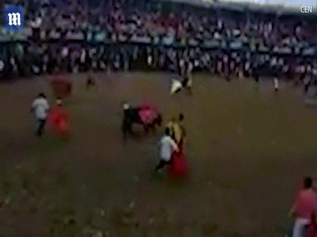 Người đàn ông bị con bò hung hãn hất tung lên cao rồi rớt xuống đất.