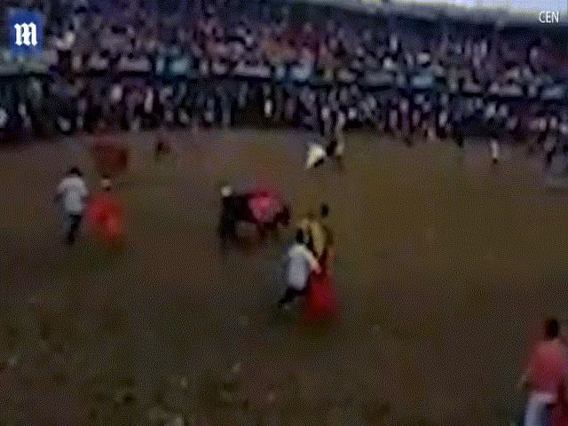 Người đàn ông bị con bò hung hãn hất tung lên cao rồi rớt xuống đất. Người đàn ông bị con bò hung hãn hất tung lên cao rồi rớt xuống đất.