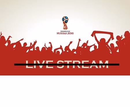 Cụ thể, chỉ trong vòng 3 ngày World Cup 2018 diễn ra, Đài truyền hình Việt Nam VTV đã phát hiện ra hơn 700 trường hợp vi phạm bản quyền phát sóng giải đấu. Những trường hợp này được phát hiện trên một số trang web và một số trang mạng xã hội.