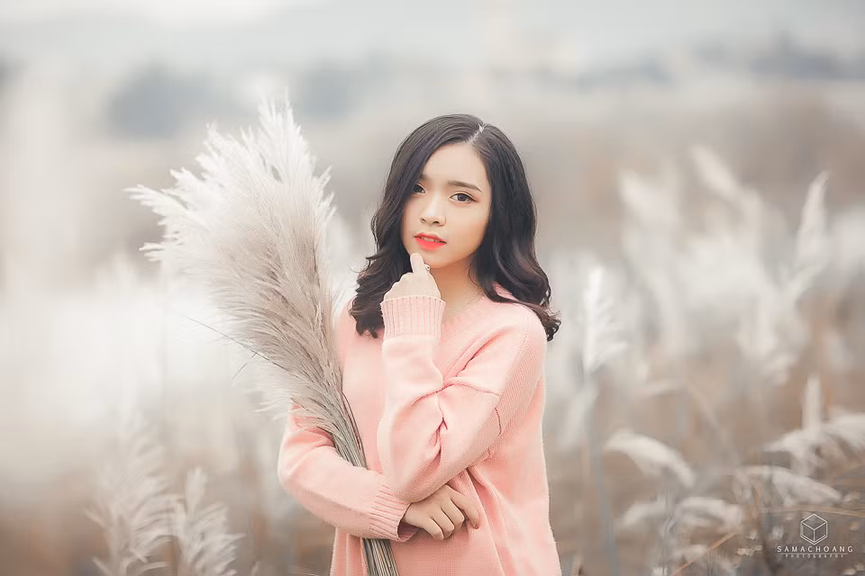 Cả rừng lau trắng đung đưa trong gió, dưới ánh nắng tinh khôi như khiến cho tiết trời sang đông trở nên tươi sáng, ấm áp hơn.