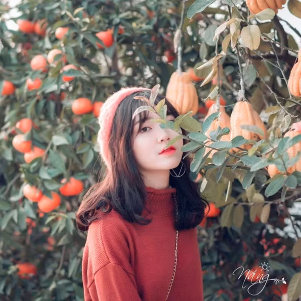 Hà Thu Nguyệt, hiện là nữ sinh lớp 12 trường THPT Sầm Sơn (Thanh Hóa). Từ thuở nhỏ, hot girl ảnh thẻ này đã sở hữu khuôn mặt với nhiều đường nét xinh xắn, đáng yêu và càng lớn thì vẻ đẹp ấy càng được bộc lộ rõ hơn.