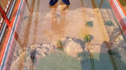 Hàng loạt bình luận khiếm nhã đã được để lại: "Sao không dùng máy nét hơn vậy?" - N.A.C, "Chán thanh niên quá, sau đầu tư quả ống kính xịn hơn nhé!" - B.V, "Không có bản full không che à bác?"