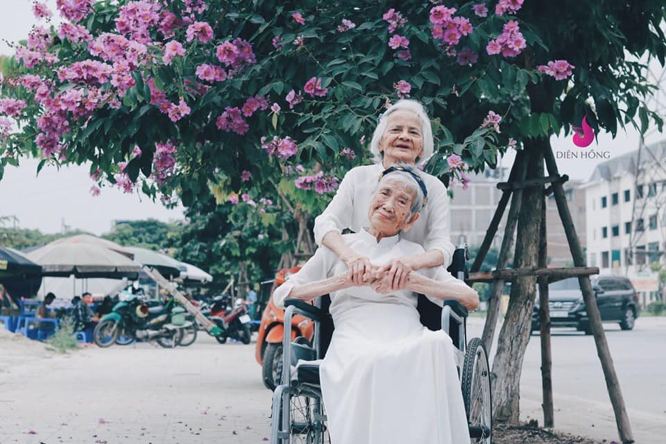 Ngoài bộ ảnh chụp sen, CĐM thời gian qua cũng rất chú ý đến 1 cặp bạn già khác tranh thủ mùa hoa bằng lăng nở.