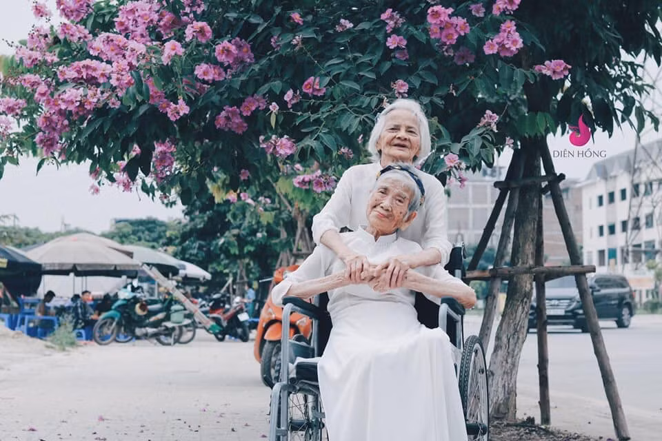 Ngoài bộ ảnh chụp sen, CĐM thời gian qua cũng rất chú ý đến 1 cặp bạn già khác tranh thủ mùa hoa bằng lăng nở.