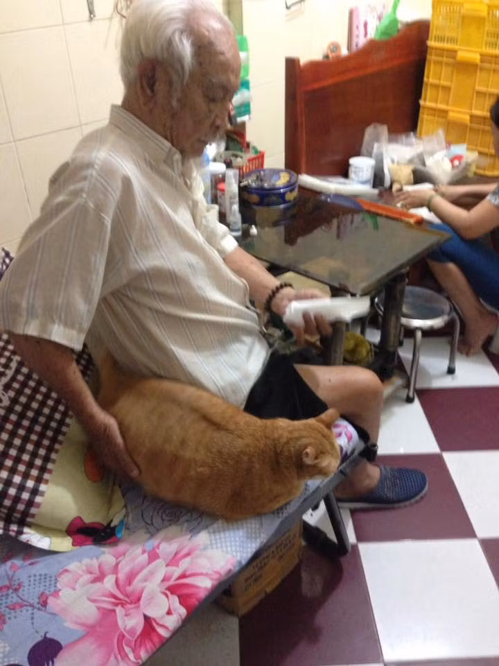 Cụ thể bạn trẻ Bị Bỏ có viết: "Rất nhiều gia đình khó trong việc nuôi thú vật trong nhà.Nhất là mèo,và đặc biệt mèo hoang vào nhà càng cấm kị,vì sợ xui.Nhưng tôi cảm thấy may mắn và may mắn hơn là đối với Bí Bo.Vốn dĩ em là chú mèo hoang sống tạm qua ngày bên đường ray xe lửa.Bắt chuột bắt gián ăn qua cơn đói.Nắng mưa chỉ biết nép hiên nhà người ta, vì chẳng ai cho em mái ấm chỉ vì em là mèo hoang."